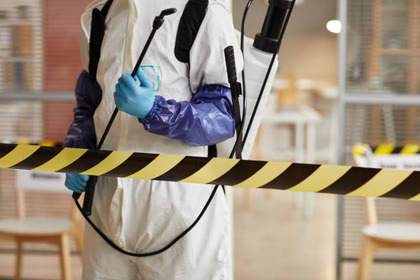 Professional Sewage Cleanup technician working in Aurora, TX